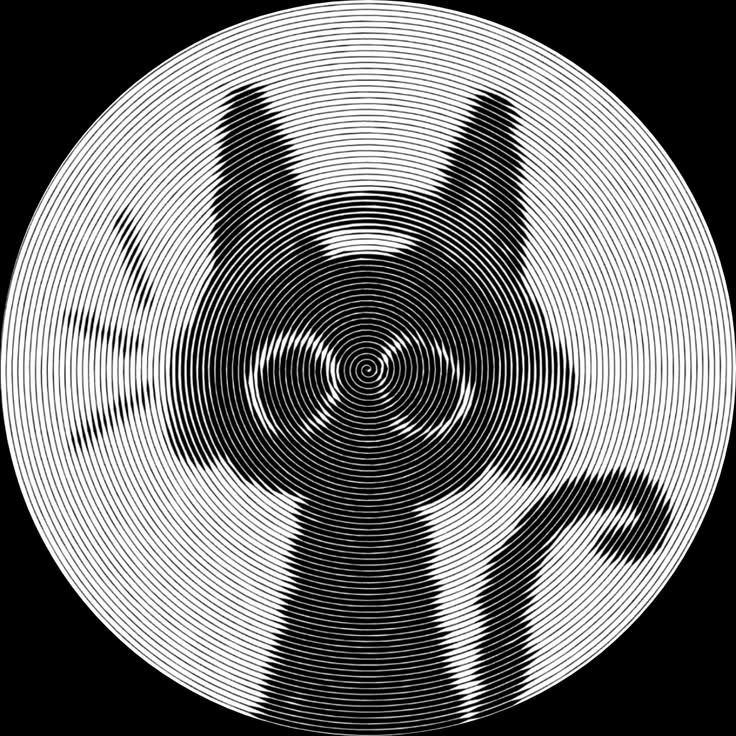 a spiral-engraved cat on a spinning vinyl record